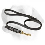 Walking Leather Labrador Leash Adorned With Braids