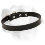 Boss Full Grain Leather Collar For Labrador