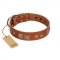 "Egyptian Gifts" Handmade FDT Artisan Tan Leather Labrador Collar with Chrome-plated Pyramids