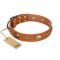 "Visual Magic" FDT Artisan Tan Leather Labrador Collar for Daily Activities