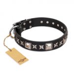 "Space Walk" FDT Artisan Black Leather Labrador Collar with Adornments