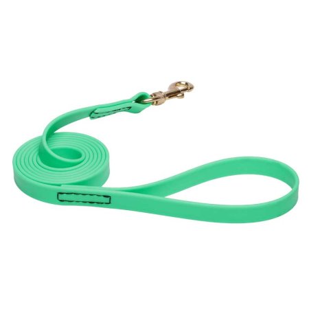 Green Waterproof Labrador Leash Made of Biothane