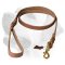 Universal Braided Leather Labrador Leash