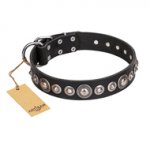 "Strict Elegance" FDT Artisan Black Leather Labrador Collar with Decorations