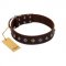 "Boundless Energy" Premium Quality FDT Artisan Brown Designer Leather Labrador Collar with Small Pyramids