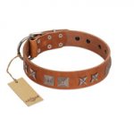 "Antique Figures" FDT Artisan Tan Leather Labrador Collar with Silver-like Engraved Plates