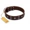 "Skull Valley" Handcrafted FDT Artisan Brown Leather Labrador Collar with Skulls