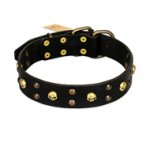 "Heavy Metal" Leather Labrador Collar with Skulls and Studs 1 1/2 inch (40 mm)