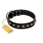 "Inky Prettification" FDT Artisan Black Leather Labrador Collar with One Row of Studs