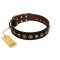 "Street Fashion" FDT Artisan Brown Leather Labrador Collar Adorned with Circles and Skulls