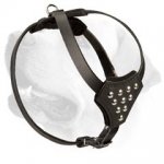 Designer Decorative Puppy Leather Harness