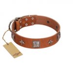 "Lucky Star" FDT Artisan Tan Leather Labrador Collar with Silver-Like Embellishments