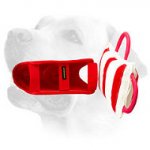 Labrador Training Pillow with Jute Cover