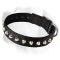 Shiny Decorative Nylon Collar For Labrador