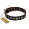 "Victory Ode" FDT Artisan Brown Leather Labrador Collar with Silver-like Plated Decorations