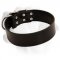 Super Wide Leather Collar For Handling Large Labrador
