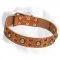 Leather Dog Collar with Brass Circles