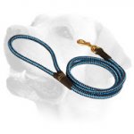 Cord nylon dog leash for Labrador