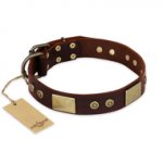 "Shining Armour" FDT Artisan Brown Leather Labrador Collar with Decorations