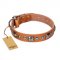 "Era of Future" FDT Artisan Handcrafted Tan Leather Labrador Collar with Decorations