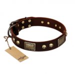"Magic Amulet" Brown Leather Labrador Collar with Skulls and Plates
