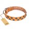 "Precious Sparkle" FDT Artisan Handcrafted Tan Leather Labrador Collar