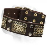 Leather Collar with Brass Massive Plates and Two Nickel Pyramids for Labrador