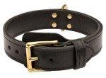 Handcrafted 2 Ply Leather Agitation Labrador Collar
