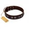 "King Arthur" FDT Artisan Brown Leather Labrador Collar with Spiky Plates
