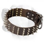 2 Inch Spiked Leather Labrador Collar