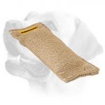 Labrador puppy durable training tug