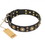 "Baroque Chic" FDT Artisan Studded Black Leather Labrador Collar
