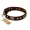"Magic Amulet" Brown Leather Labrador Collar with Skulls and Plates
