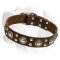 Awesome Leather dog collar for Labrador