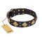 "Fancy-Schmancy" FDT Artisan Studded Leather Labrador Collar