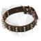 Absolutely Chick Leather Dog Collar For Labrador