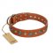 "Natural Beauty" FDT Artisan Tan Leather Labrador Collar with Shining Silver-like Studs