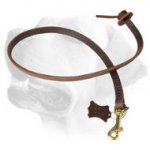 Short Leather Labrador Leash With Circle Handle
