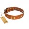 "Woofy Dawn" FDT Artisan Tan Leather Labrador Collar with Plates and Rhombs