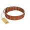 "Dreamy Gleam" FDT Artisan Tan Leather Labrador Collar Adorned with Stars and Squares