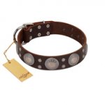 "Imperial Legate" FDT Artisan Brown Leather Labrador Collar with Big Round Plates