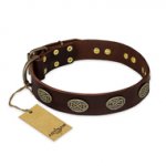 "Chocolate kiss" FDT Artisan Leather Labrador Collar with Old Bronze Look Oval Plates