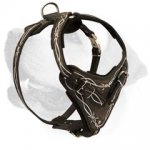 Super Stylish Leather Harness With Barbed Wire Handmade Painting