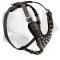 Labrador Studded Leather Harness With Wide Chest Plate