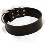 Super Wide Leather Collar For Handling Large Labrador