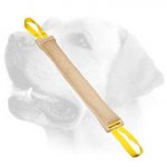 Jute Bite Tug for Young Labrador Training