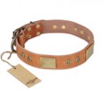 "The Middle Ages" FDT Artisan Handcrafted Tan Leather Labrador Collar