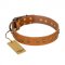 "Autumn Story" FDT Artisan Leather Labrador Collar with Old Bronze Look Studs