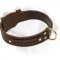 Roman Braid Leather Collar For Labrador