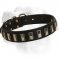 Soft Leather Labrador Collar with Nickel Plates